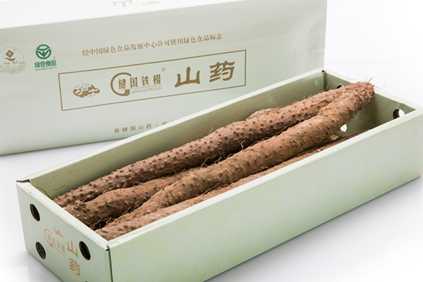 漯河優(yōu)質(zhì)懷菊花哪家好